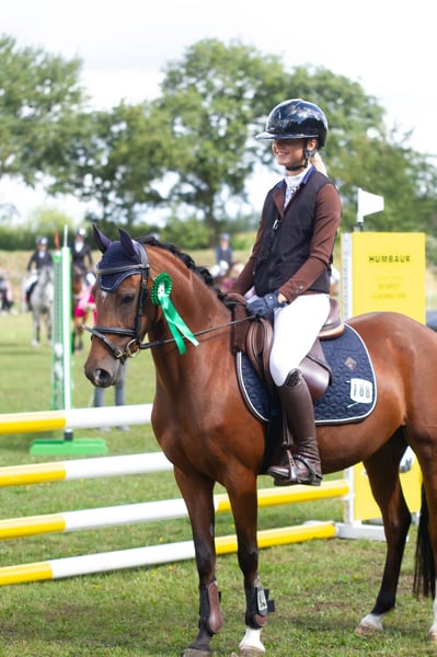 Deutsches Reitpony, Stute in Süderlügum,