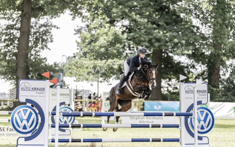 Deutsches Reitpony, Stute in Osnabrück