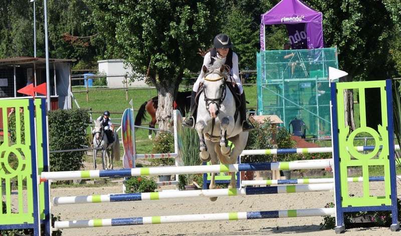 Deutsches Reitpony, Stute in Buchen Waldhausen