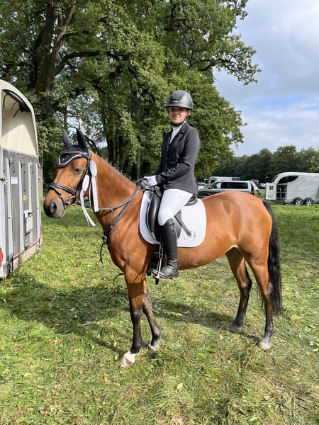 Deutsches Reitpony, Stute in Bayrischzell