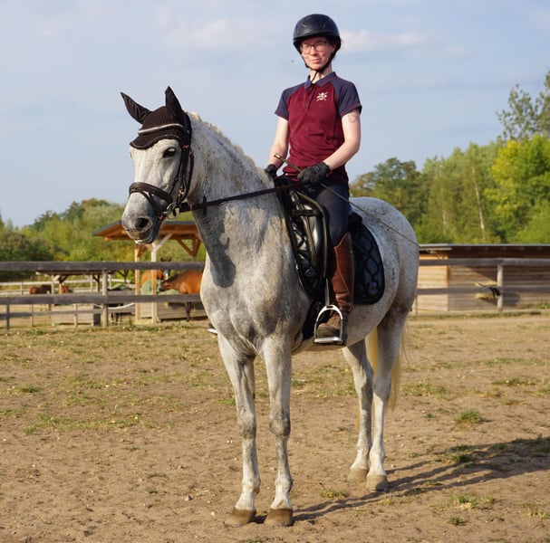 Deutsches Reitpony, Stute in Leipzig
