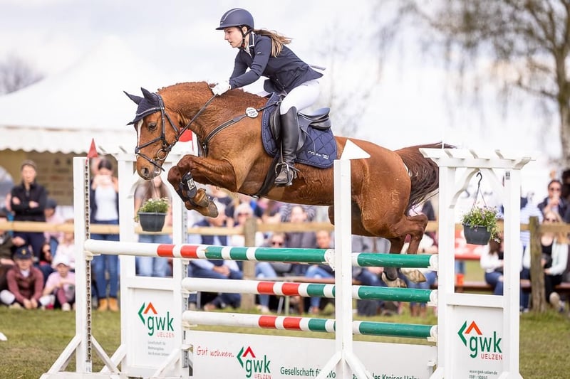 Deutsches Reitpony, Wallach in Nahrendorf