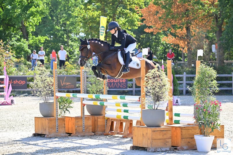 Deutsches Reitpony, Wallach in Finsing