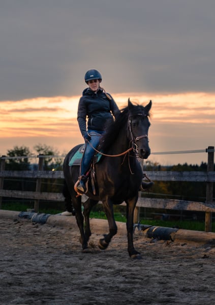 Friesen, Stute in Riedering