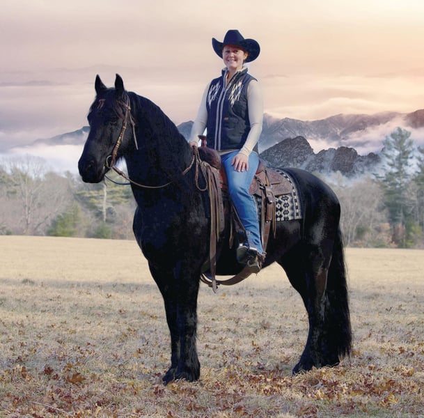 Frieserhästar Valack 11 år 157 cm in Rochester MA