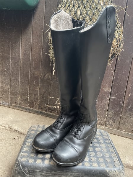 Kleinanzeigen Reitstiefel Damen 39 Reitstiefel Damen Gr 39 - Main Image