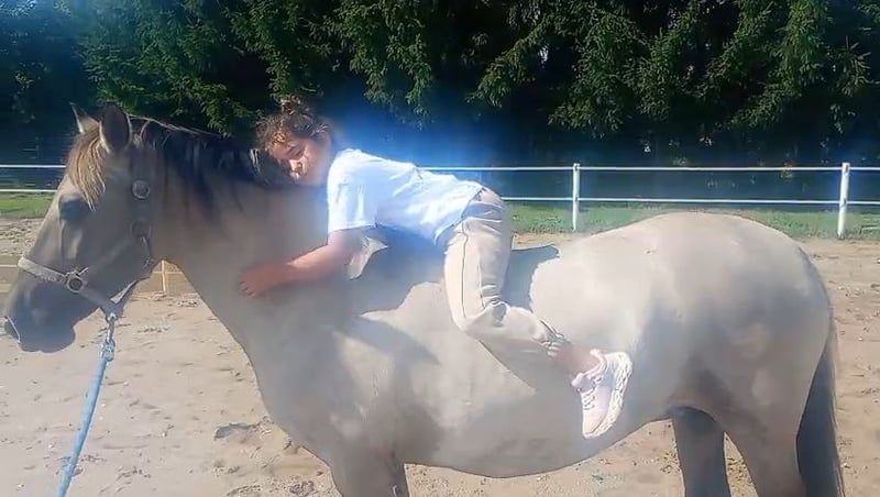 Konik, Stute in FORST