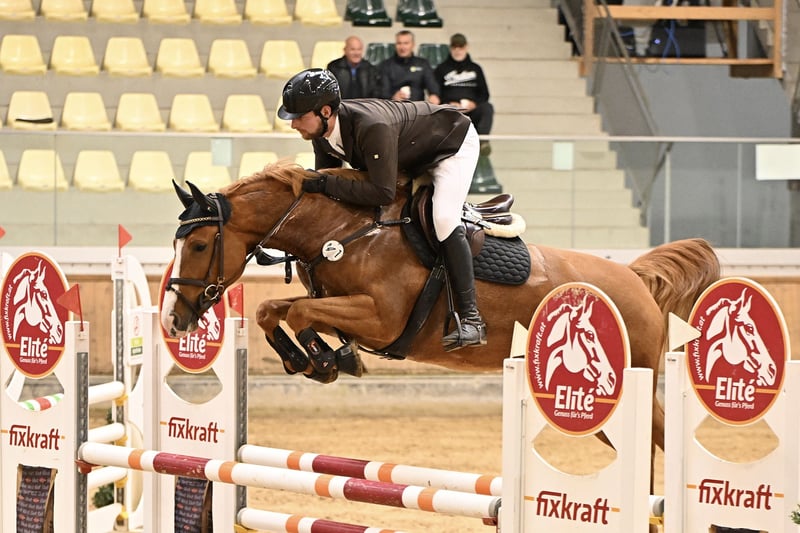 KWPN, Stute in Lengdorf