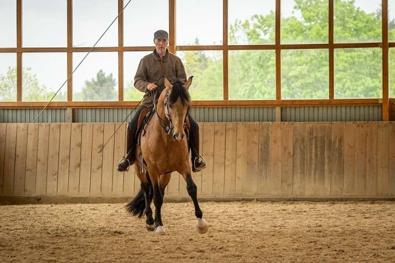 Lusitanos, Wallach in Bergweiler