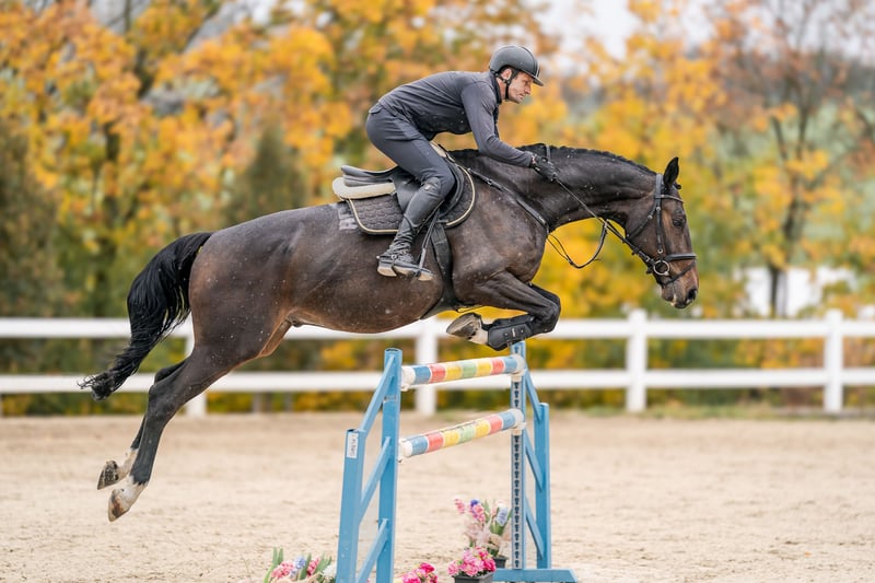 16.5万HorweenCordovanWHISKEYLUDWIG REITER Skipper - Sneakers - Ludwig Reiter Schuhmanufaktur