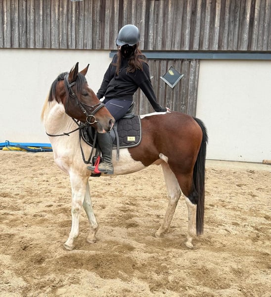 Pintos, Wallach in Daleiden