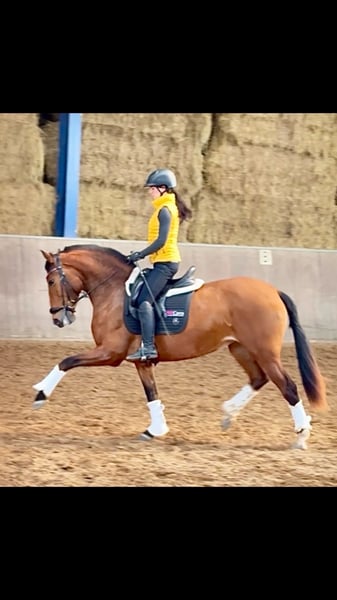 PRE, Stute in Bexbach