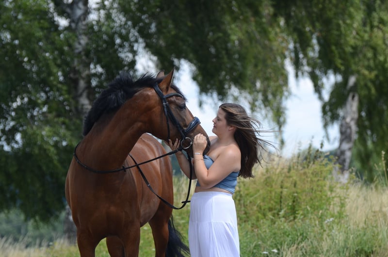 PRE, Wallach in Frankfurt am Main
