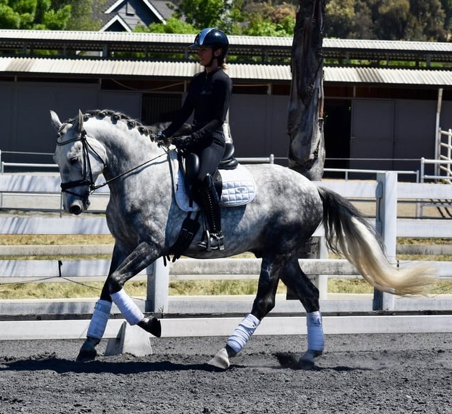 PRE, Wallach in Ratekau