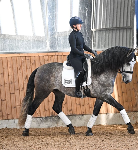 PRE, Wallach in Steuden