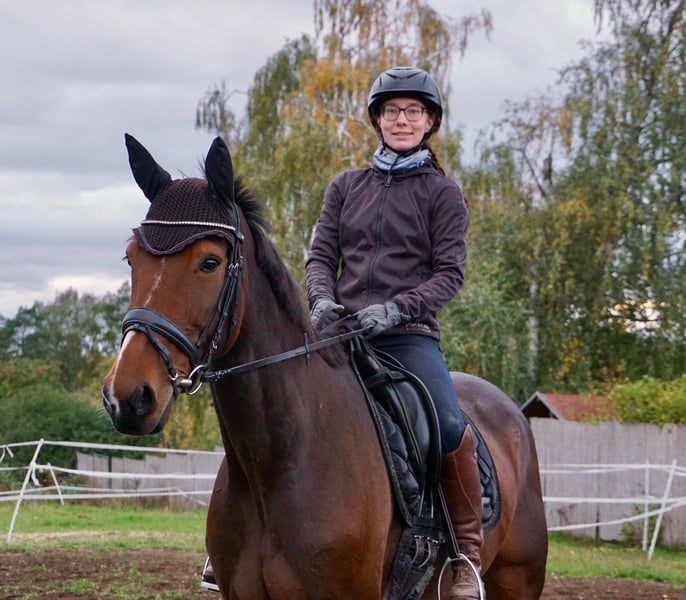 Schwedisches Warmblut, Stute in Leipzig