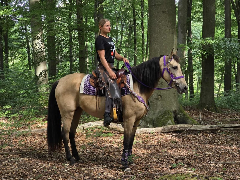 Sonstige Rassen, Stute in Linkenbach