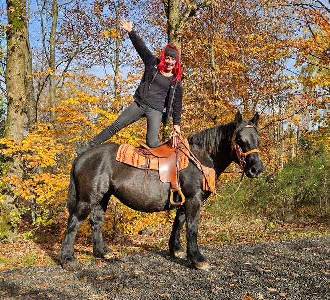 Sonstige Rassen, Stute in Linkenbach