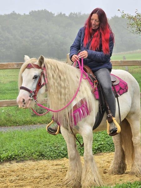 Tinker, Stute in Linkenbach