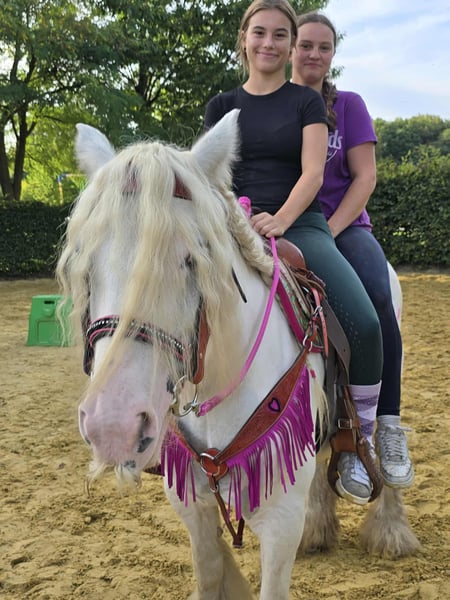 Tinker, Stute in Linkenbach