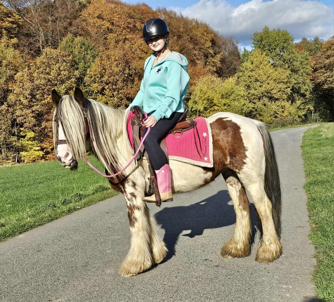 Tinker, Stute in Linkenbach