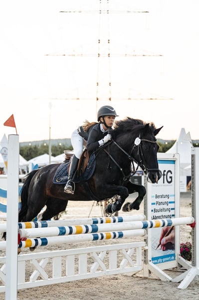 Weitere Ponys/Kleinpferde, Stute in Schweich