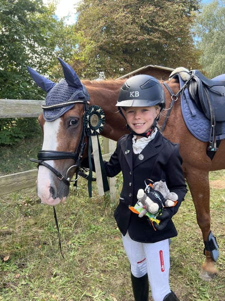 Weitere Ponys/Kleinpferde, Wallach in Walldorf