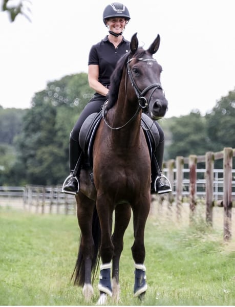 Zangersheider, Wallach in Münster